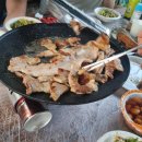산청 지리산 계곡 펜션 비교 산여울 펜션, 지리산 토지펜션(지리산 계곡 평상)