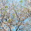 서홍동 생태놀이터 아이뜨락 화장실 이미지