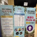 공릉역(7호선) | 2026 공릉 커피축제 일정 먹거리 후기!