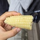 미니슈퍼 - 춘천시 영서로 2295 | [강동 명일동 맛집] 현대미니슈퍼 찰옥수수 구매 성공 후기! 평일 웨이팅, 솔직 맛 평가 🌽