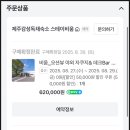 제주감성독채숙소스테이비움
