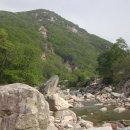 황정리 대흥사 앞 이미지