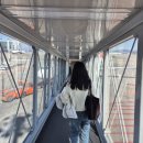 우보스테이 | [하코다테] 일본 겨울여행지ㅣ하코다테 털게식당ㅣ일본3대야경 로프웨이 전망대ㅣ징기스칸 맛집추천