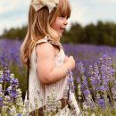 여주-0524 | [market open]_ 블루라방드 전라인 공구특가 *라벤더 씨솔트 스크럽 *라벤더 바디버터 *라벤더 멀티오일...