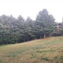 문화광장길 이미지