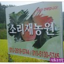 부목농장 이미지