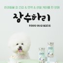 펫즈메모리