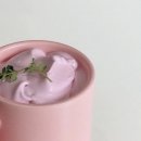 핑크스토리 이미지