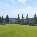 배골경로당 이미지