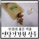 백출건강원