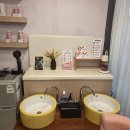 외동 | [경남 김해] 데일리뷰티 &amp; 왁싱 김해외동점 후기｜브라질리안 왁싱 솔직 리뷰