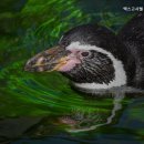 렉스고시텔 - 동대문구 왕산로 240 | 렉스고시텔