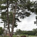 진선목장 이미지