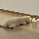 차소연의원 이미지