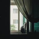 해변산장 이미지