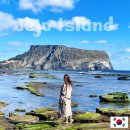 동부산악권 투어 1 | 제주도 뚜벅이 여행 필수 코스, 동부 버스투어 후기 1인도 출발 리무진