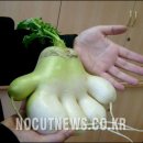 반송2동-16 이미지