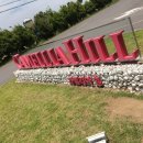 자홍원 | [제주도여행]울콩이랑 제주도로 GoGo~❤️(1탄)