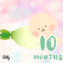 [임신 36주차] 출산후 정부혜택 모음, 조리원 마사지 포기, 임산부 신발 구입 @ 어그, 락포트, 남편이...