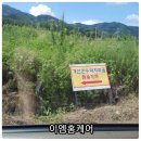 가산한우돼지마을 이미지