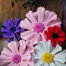 꽃길이어라(플라워디자인) 이미지