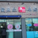 늘조은 돼지