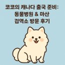 창원시축산농협 동물병원 | 🐶 코코의 캐나다 출국 준비: 동물병원 &amp; 마산 검역소 방문 후기