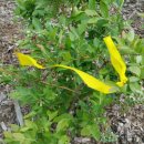 병기농장 이미지