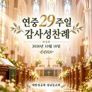 연중29주일 감사성찬례_2026년 10월18일 이미지
