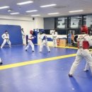 금강태권도 파워점핑 이미지