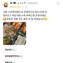 도니네족발보쌈 이미지