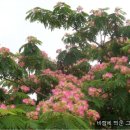 (주)열린마음 이미지