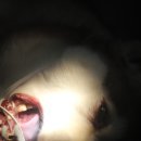 신현동물병원 이미지