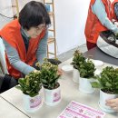 월곡2동 주민센터 이미지