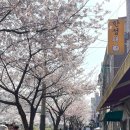 한성돼
