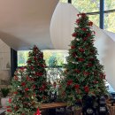 크리스마스 트리 이미지