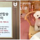 카페미밍코 이미지