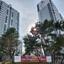 분당-173 이미지