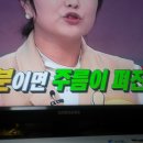 벚꽃눈썹 이미지