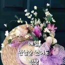 백합사 이미지