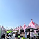 페스타임 | 올리브영 페스타 2025 후기