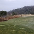 라베스크린골프 이미지