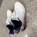 리닝(Li-Ning) Champion 탁구화270 이미지