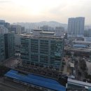 기업