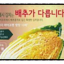 김찬형생활건강