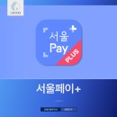 페이자주 이미지
