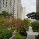 신금호부동산공인중개사사무소 매일경제