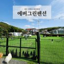 에버그린펜션 | 충남 태안 안면도 애견펜션 넓은 운동장 중대형견 가능한 에버그린펜션 내돈내산 후기