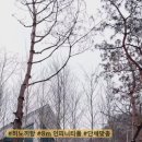 로하우스 이미지