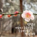 행복한오늘